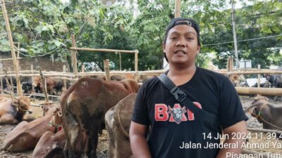 Jual Hewan Sapi  Qurban Jelang Idul Adha Harga Terbaik dan Termurah di Jakarta Timur