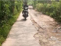 Tokoh Pemuda Sindangsari, Dorong Kondisi Jalan Antara Desa Rusak dan Berlubang Perlu Perbaikan