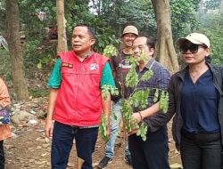 August Hamonangan Tunjukkan Aksi Nyata: “Peduli Lingkungan dan Tanggap Aduan Warga di Bantaran Kali Ciliwung”