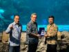 Sea World Ancol Rayakan Ulang Tahun ke-33: Hadirkan Biota Baru Ikan Hiu Berjalan.
