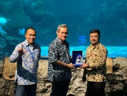 Sea World Ancol Rayakan Ulang Tahun ke-33: Hadirkan Biota Baru Ikan Hiu Berjalan.