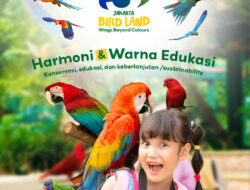 Rayakan Usia ke-3 Tahun, Jakarta Bird Land Ancol Menggelar Kegiatan Edukasi Bersama Kawan Burung