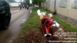 Pekerja Galian Kabel Di Sepanjang Jalan Raya Cabangbungin Diduga Abaikan K3 Dan Ancam Keselamatan Warga 